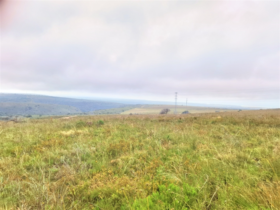 0 Bedroom Property for Sale in Kabeljauws Eastern Cape